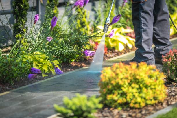 Best Gutter Cleaning  in Valdosta, GA