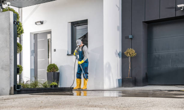 Best Animal Enclosure Cleaning  in Valdosta, GA
